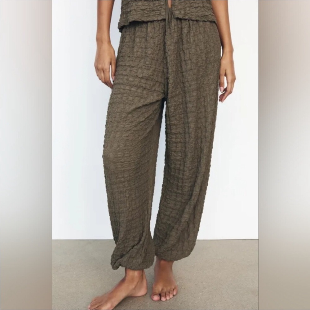 Zara Crinkle Textured Pants